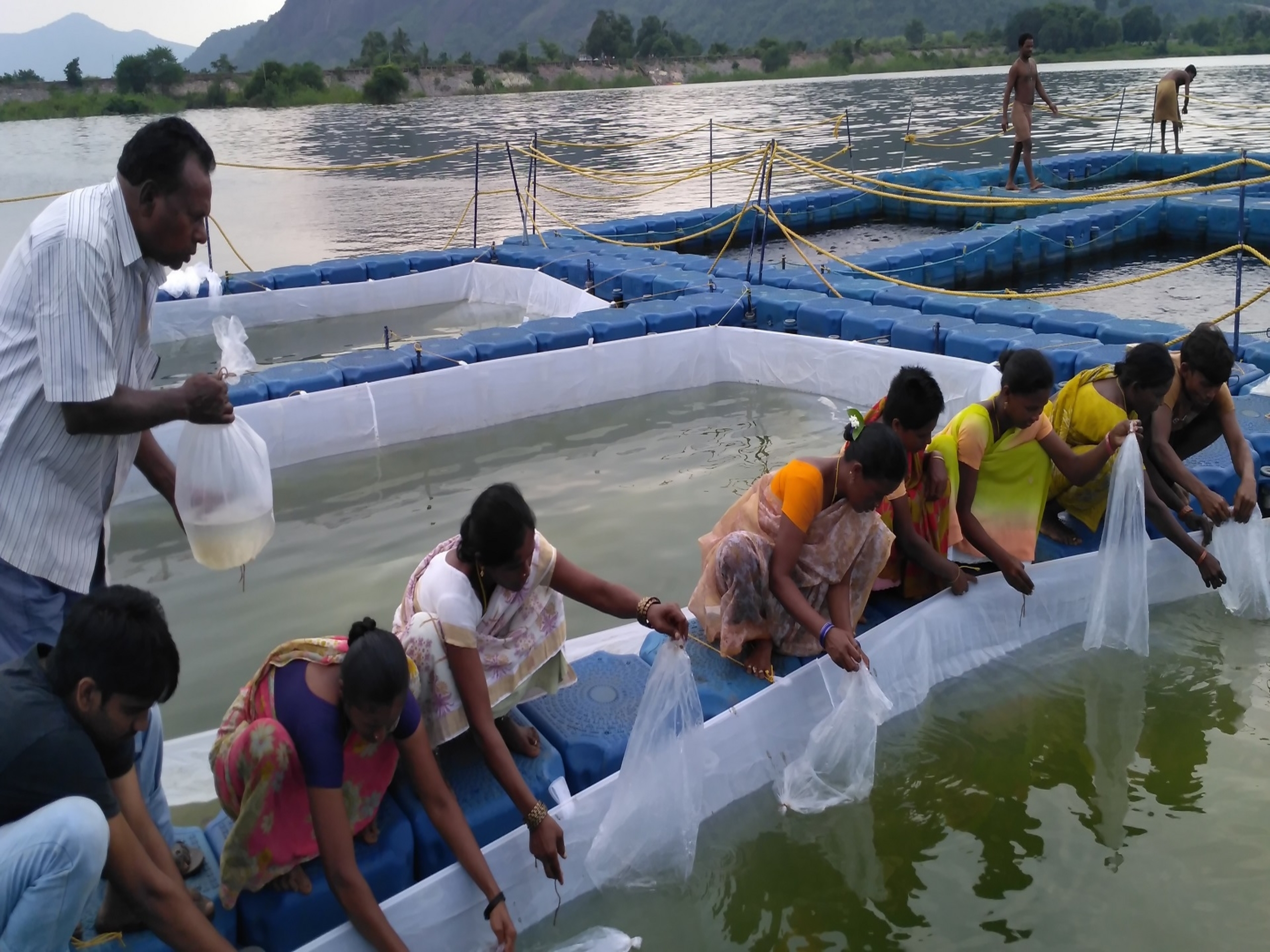 Centre for Aquatic Livelihood Jaljeevika