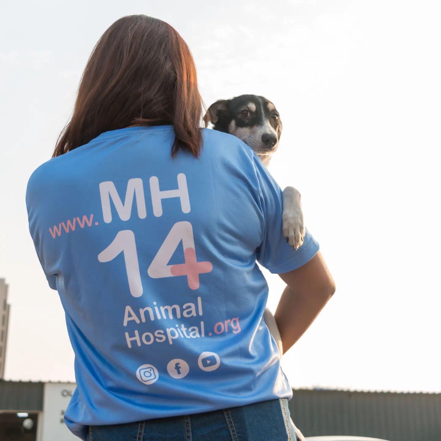 MH14 Animal Hospital